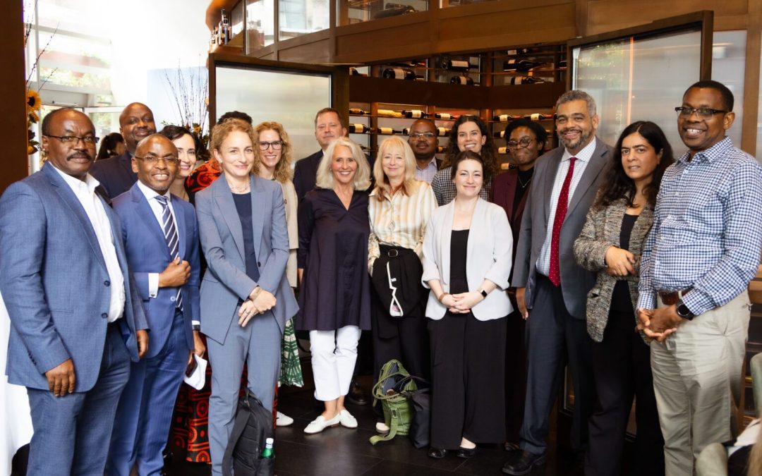 HERI Africa Introduced at UNGA 2025 in New York